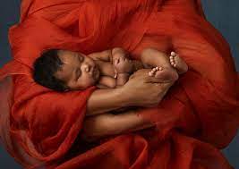 Merintis Dunia Fotografer